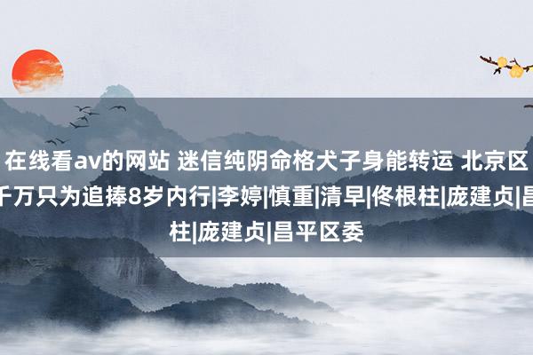 在线看av的网站 迷信纯阴命格犬子身能转运 北京区长敛财千万只为追捧8岁内行|李婷|慎重|清早|佟根柱|庞建贞|昌平区委