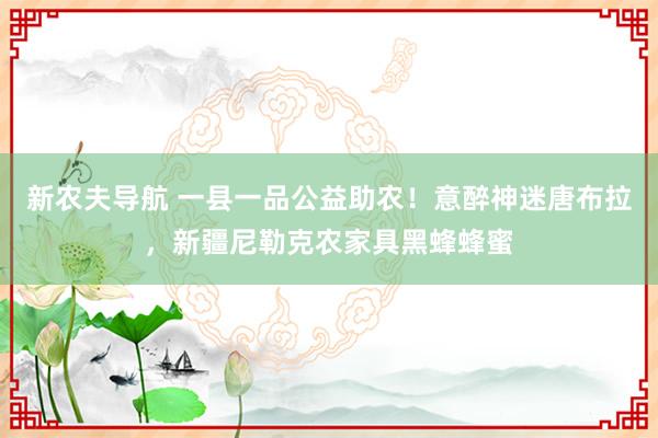 新农夫导航 一县一品公益助农！意醉神迷唐布拉，新疆尼勒克农家具黑蜂蜂蜜