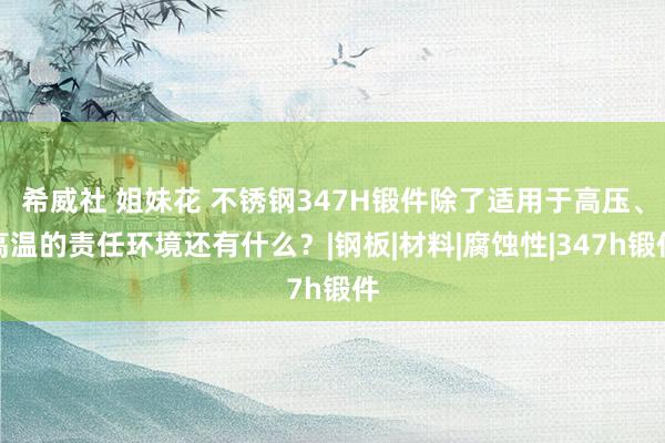 希威社 姐妹花 不锈钢347H锻件除了适用于高压、高温的责任环境还有什么？|钢板|材料|腐蚀性|347h锻件